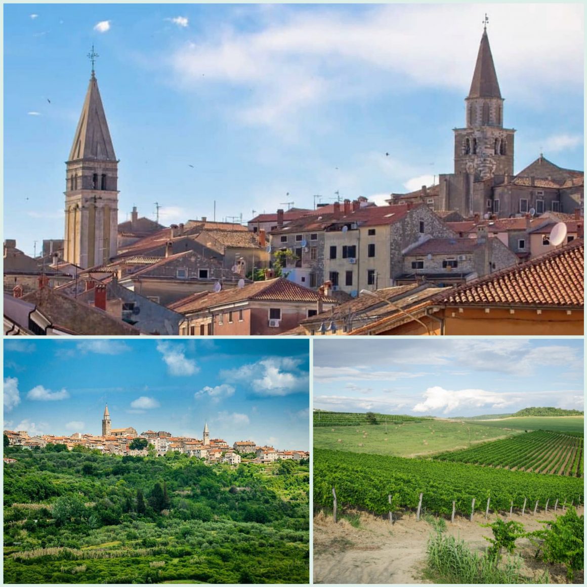 Buje – mjesto plodnih vinograda i maslinika