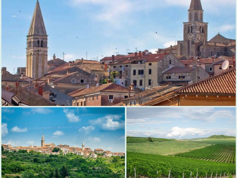 Buje – mjesto plodnih vinograda i maslinika